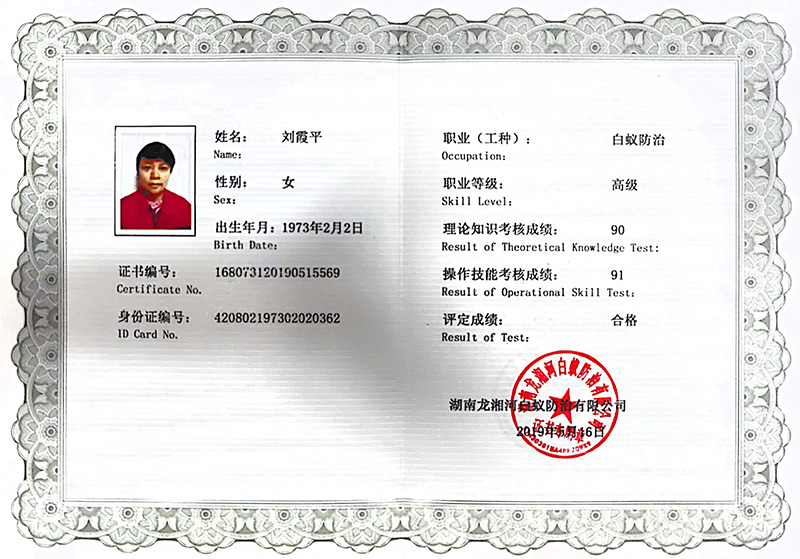 刘霞平 白蚁防治