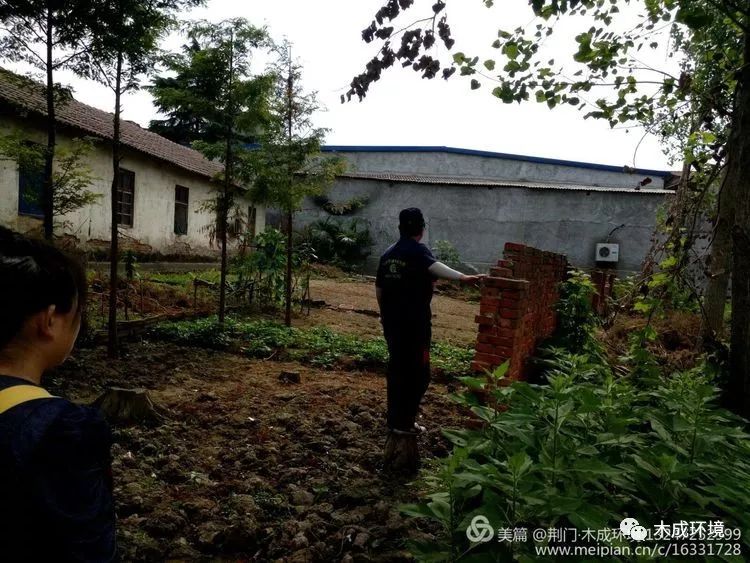 虫控部有害生物防制现场防治集锦