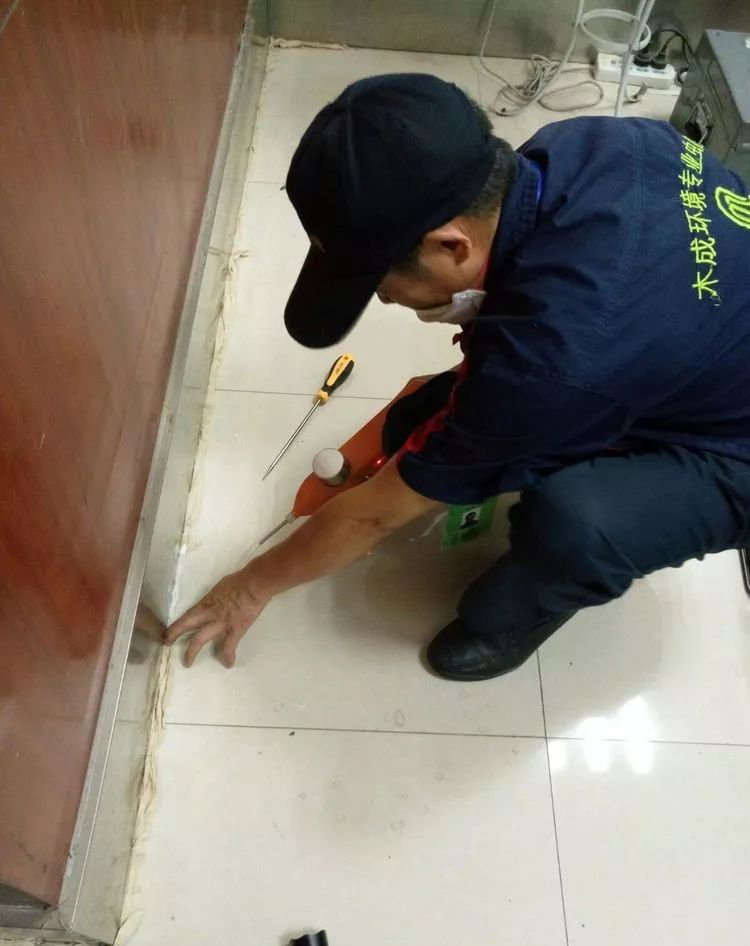 电动喷粉机灭治白蚁巢