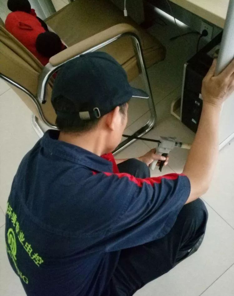 电脑主机德国小螊防治