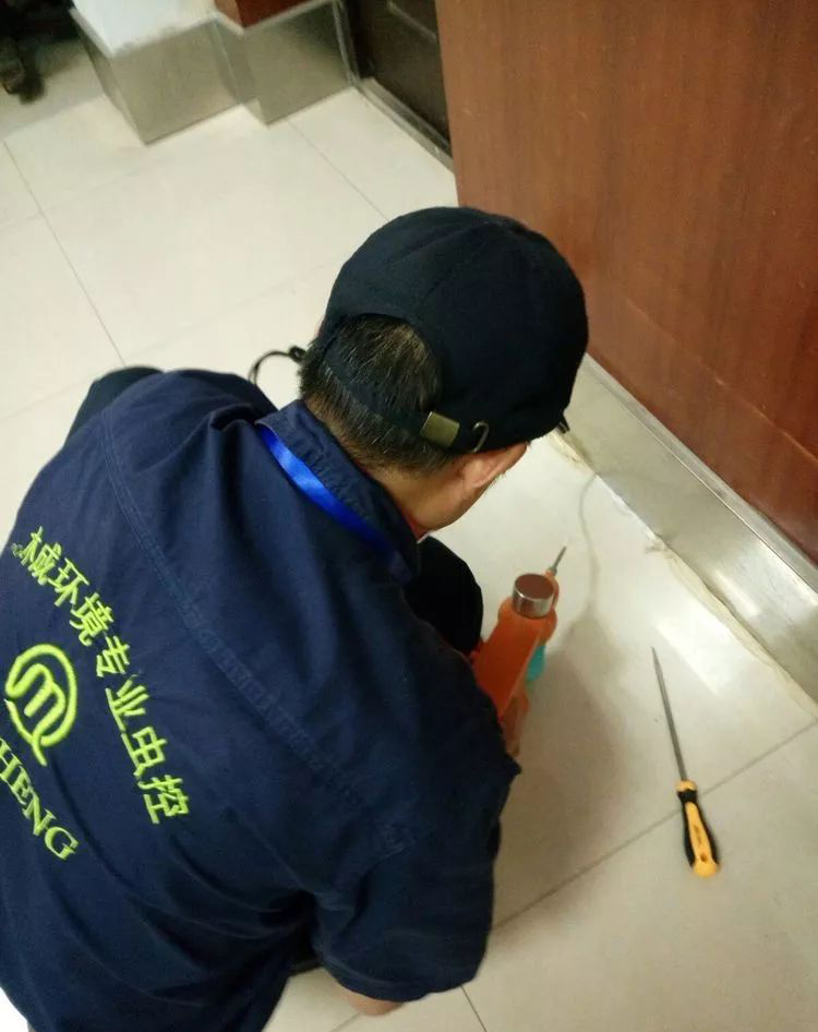 对白蚁路电动打粉机灭治白蚁