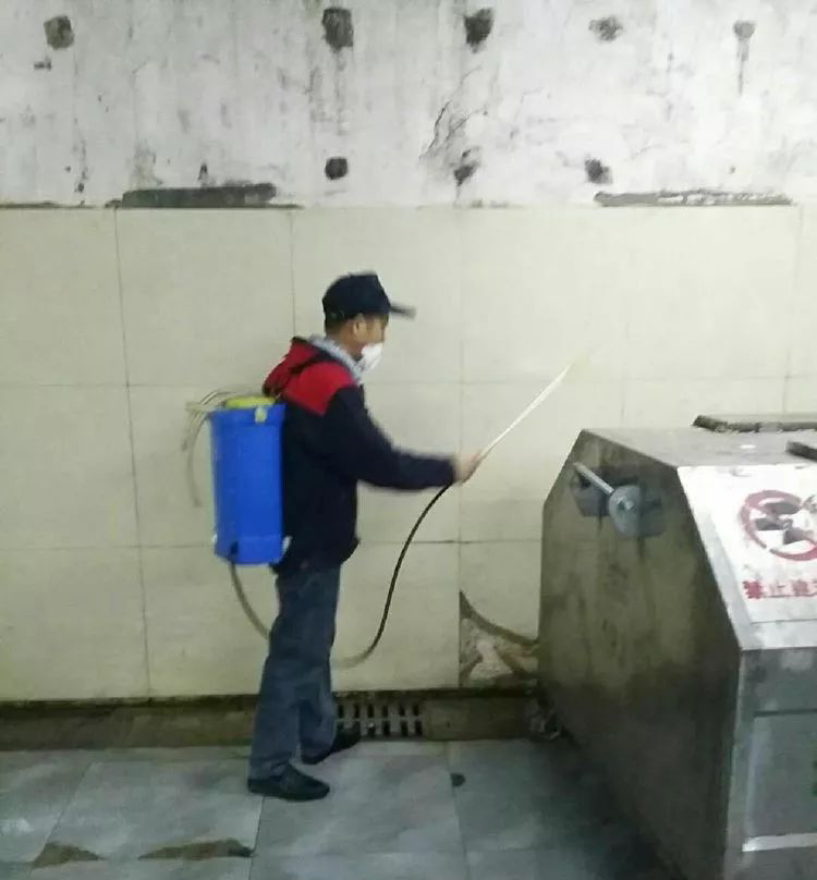 垃圾转远场虫害防治