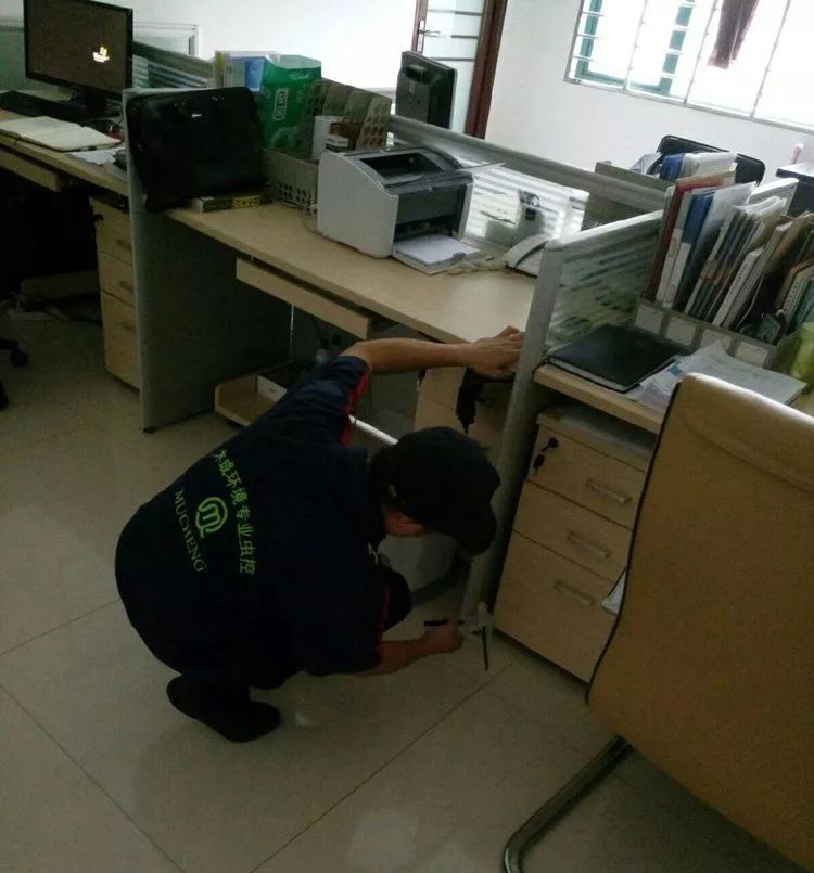 美洲大赚巢穴灭治