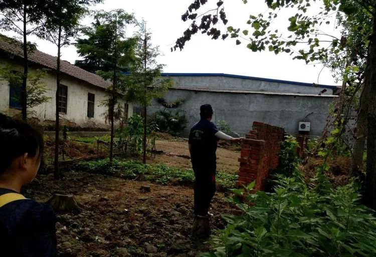 室外虫害检测及外围设防