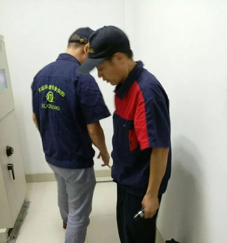 散白蚁防治.jpg